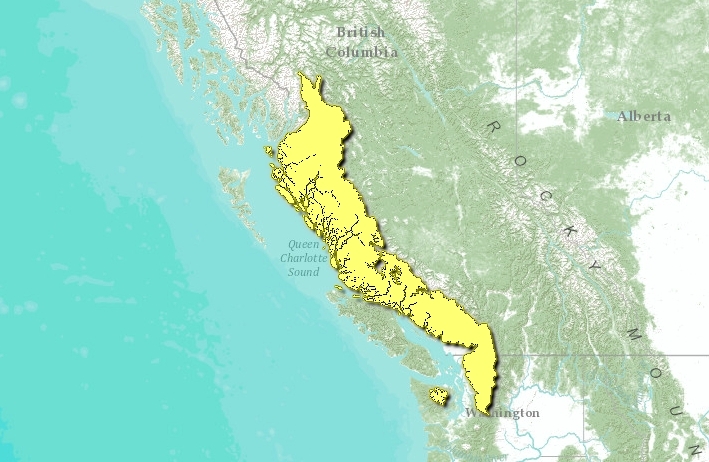 British-columbia-mainland-coastal-forest.png.jpeg