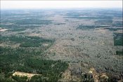 175px-Ecoregions of Arkansas South Central Plains 1.jpg