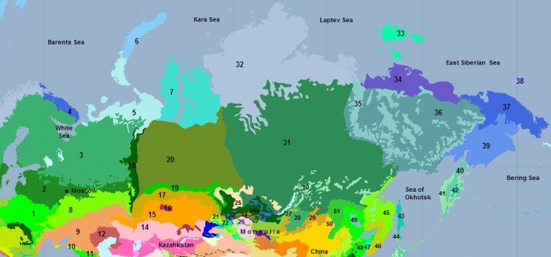 Russia-ecoregions.jpg