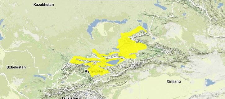 Tian-shan-foothill-arid-steppe.png