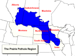 250px-Prairie Pothole Region map.gif