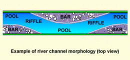 260px-Riffle.gif