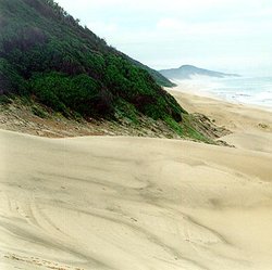 250px-Sodwana Bay National Park, South Africa.jpg