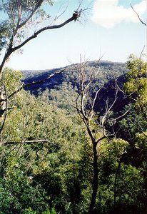 300px-Aa0402 bluemountains.jpg