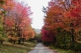 Fall Colors 2011