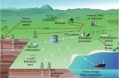Keeping Carbon from Escaping: Carbon Capture...
