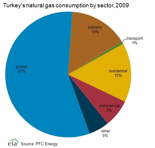 Natural-gas-consumption-sector.png.jpeg