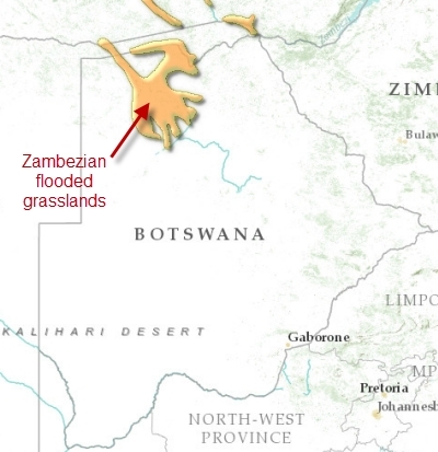 Botswana-zambezian-flooded-grasslands.png.jpeg