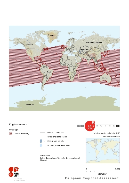 Pygmy sperm whale distribution.png.jpeg