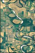 175px-Ecoregions of Arkansas South Central Plains 3.jpg