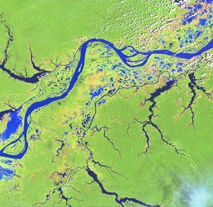 300px-Amazon-River1.jpg