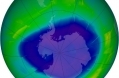Scientific Assessment of Ozone Depletion: 2010
