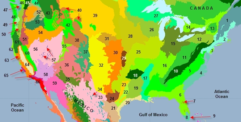 Us-ecoregions.png.jpeg