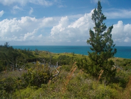 Content Cover Image