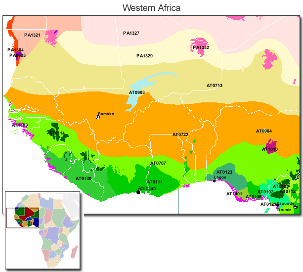 Western Africa.jpg