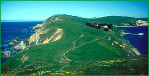 300px-Point Reyes c.jpg