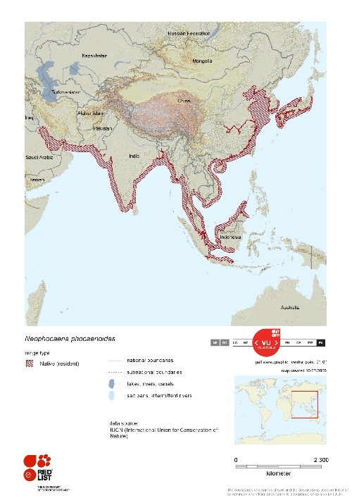 Distribution of Finless porpoise.png.jpeg