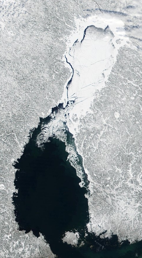 Gulf of Bothnia Ice cover 1.PNG.jpeg