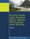 MEA Wetlands and Water Synthesis cover 100px.jpg.jpeg