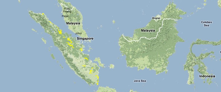 Sumatran-freshwater-swamp-forests.png