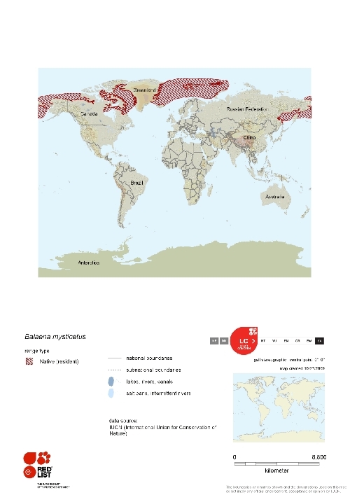 Distribution of Bowhead Whale.png.jpeg