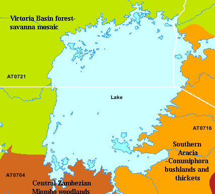 Lake Victoria Ecoregions.png