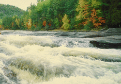 250px-Rapids.gif