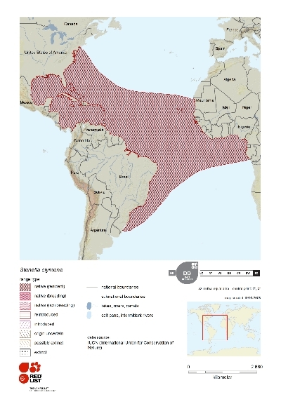 Distribution of clymene dolphin.png.jpeg