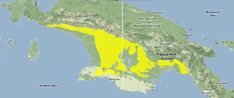 Southern-new-guinea-lowland-rain-forests1.png