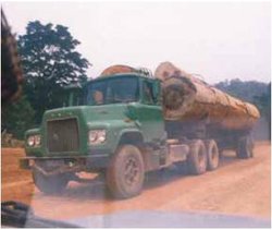 250px-Timber harvesting.JPG