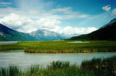 Alaska-st.-elias-range-tundra.jpg