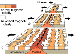 Magnetic striping oceanic crust.gif