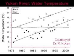 250px-Yukon River warming temp graph.gif