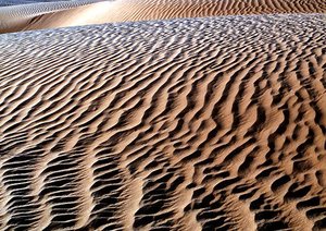 300px-Desert dune.jpg