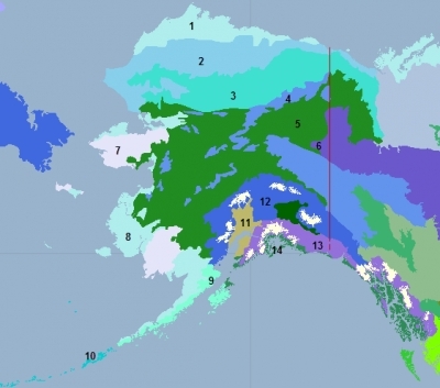 Alaska-ecoregions.png.jpeg