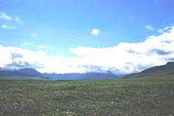 249px-Arctic Foothills Tundra 1.jpg