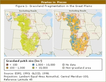 350px-Grassland fragmentation.gif.jpeg