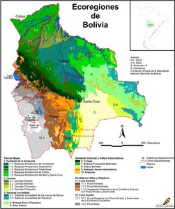 300px-Ecoregions of Bolivia.jpg