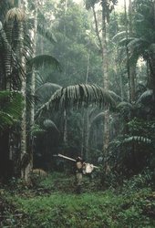 250px-Darien National Park, Panama.jpg