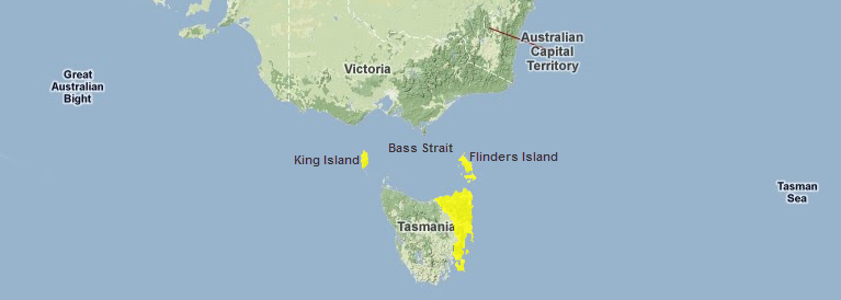 Tasmanian-temperate-forests.png