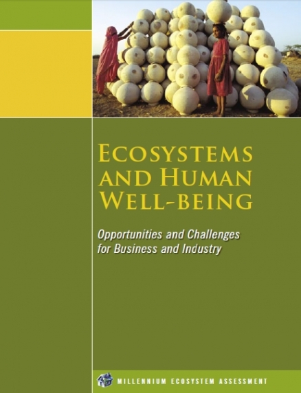 Ecosystems-and-human-wellbeing-business-and-industry 438x0 scale.PNG.jpeg