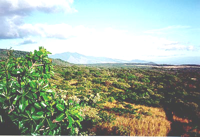 Parque-national-rincon-de-la-vieja--costa-rica.jpg