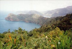 249px-Coast near Maracas, Trinidad.jpg