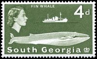 200px-Stamp South Georgia 1963 4d.jpg