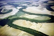 175px-Ecoregions of Arkansas Mississippi Alluvial Plain 2.jpg