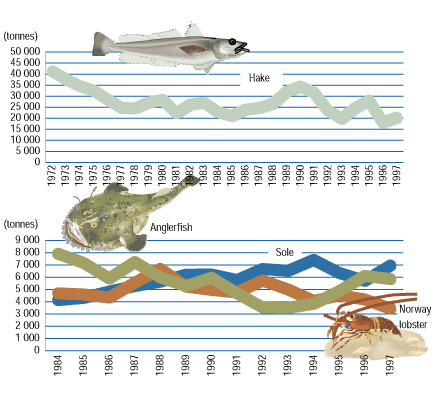 Bay-of-biscay-fisheries.png