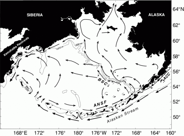 620px-Anadyr Current.gif