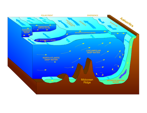 620px-Antarctic bottom water.png