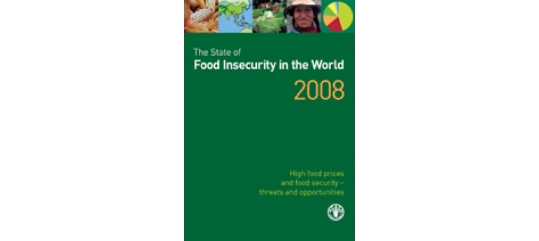 FAO FoodInsecurityCover.jpg