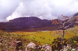 249px-Chimanimani nationalpark.jpg